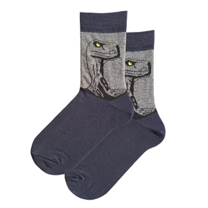 Férfi bokazokni raptor dínó 